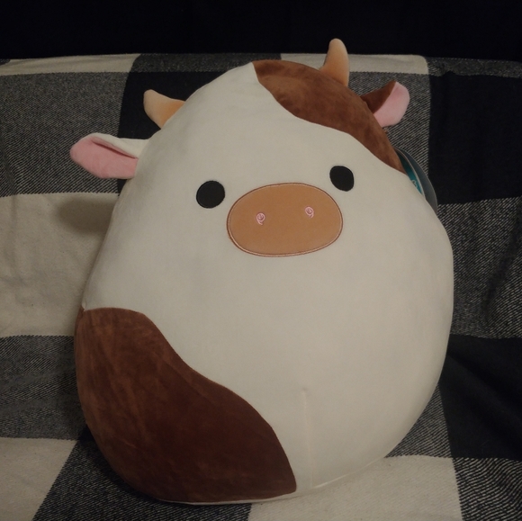 ronnie squishmallow 16